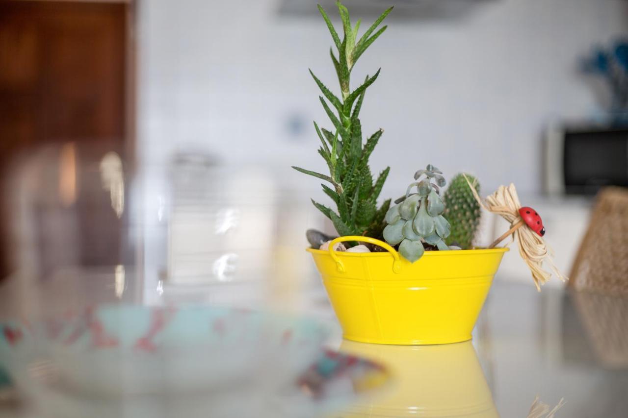 Apartamento Abuelo Miguel El Cotillo  Ngoại thất bức ảnh